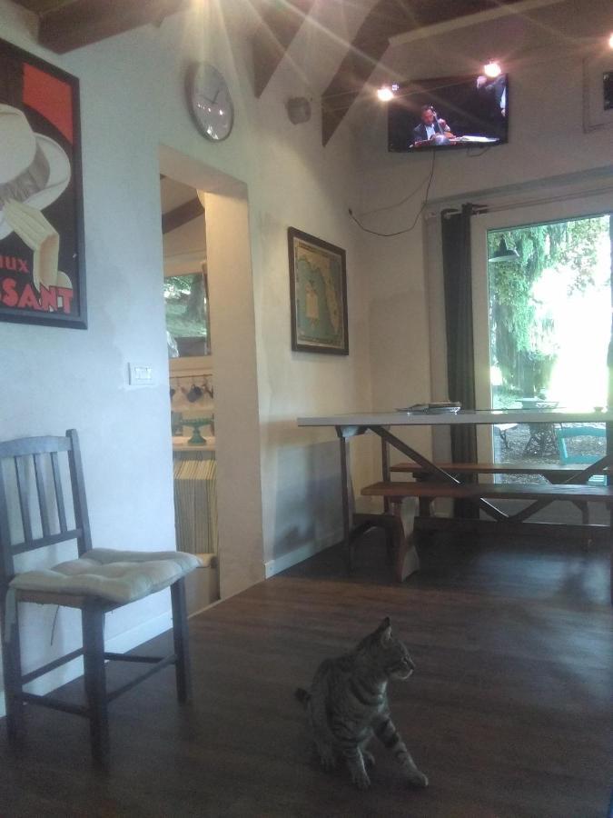 Cottage Sotto Il Faggio Centenario Ameno Luaran gambar