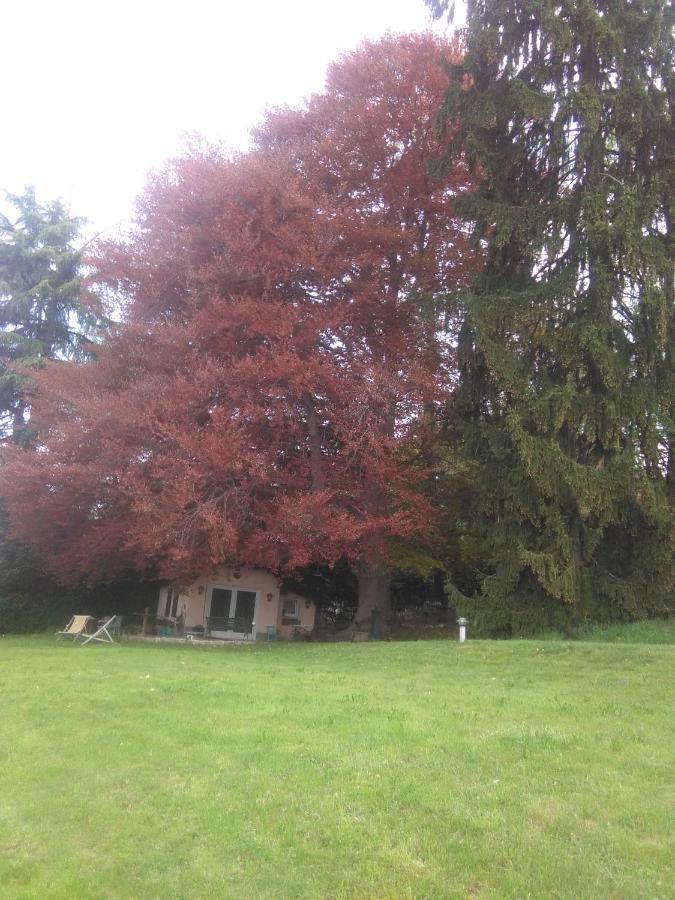 Cottage Sotto Il Faggio Centenario Ameno Luaran gambar