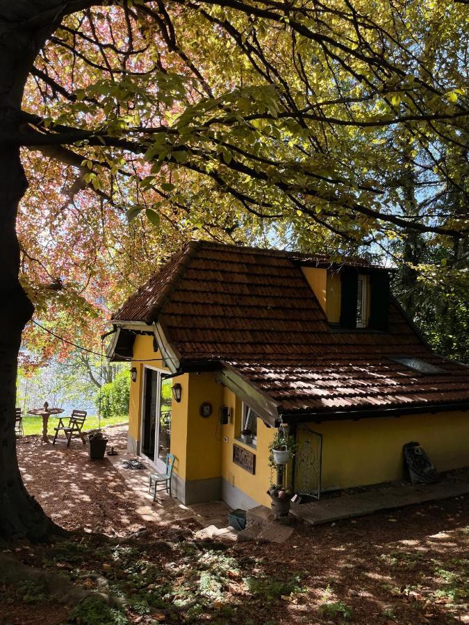 Cottage Sotto Il Faggio Centenario Ameno Luaran gambar